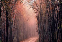 开云体育登录-凯尔特人力克活塞，塔图姆火力全开狂砍分