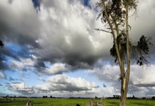 开云体育-替补席核爆！欧文奇90分钟封神毕尔巴鄂史诗逆转四连斩