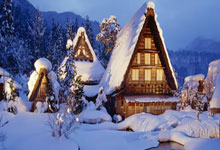 开云体育入口-海鸥翱翔云端！布莱顿历史性夺冠全记录