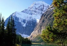 开云官网-阿尔艾因主帅战术布置细致，力争半决赛全胜