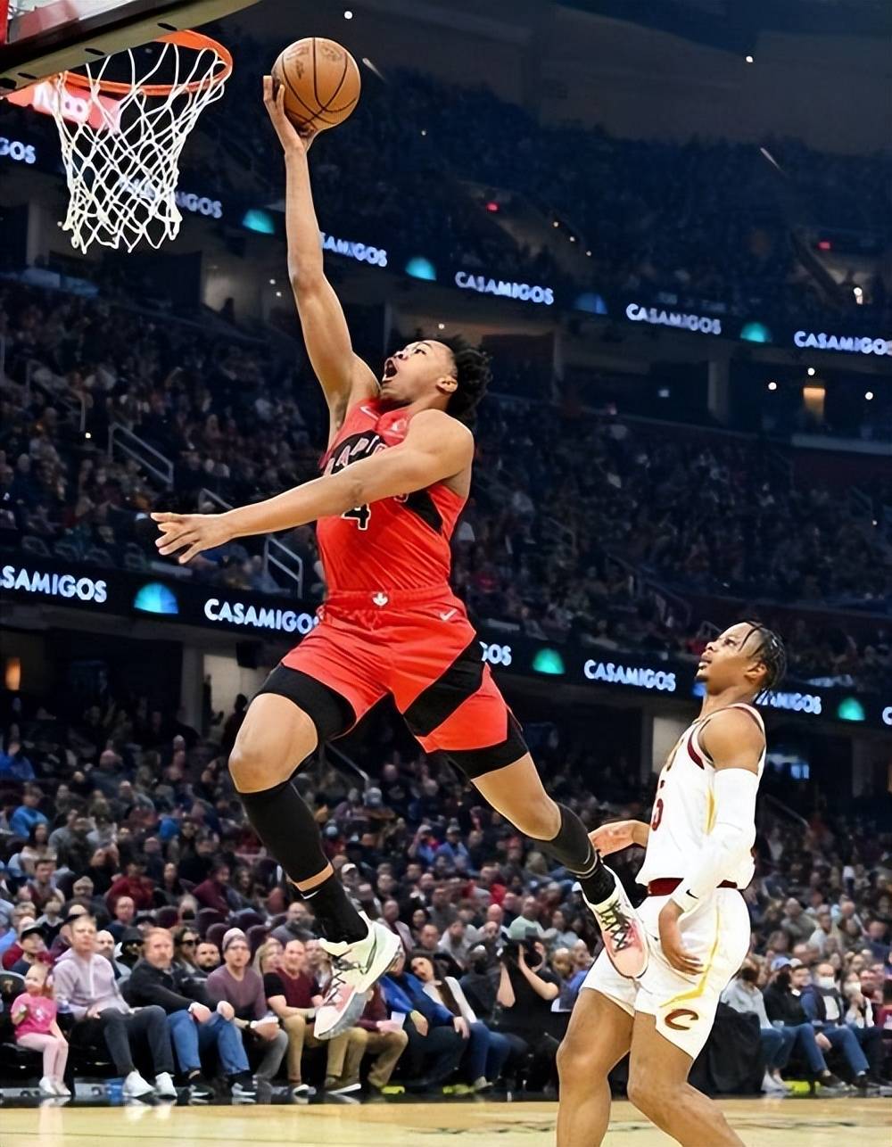 猛龙队出现内讧，主帅怒斥球队表现