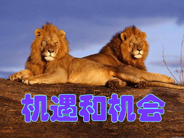 阿尔巴尼亚面对安道尔的机会与挑战