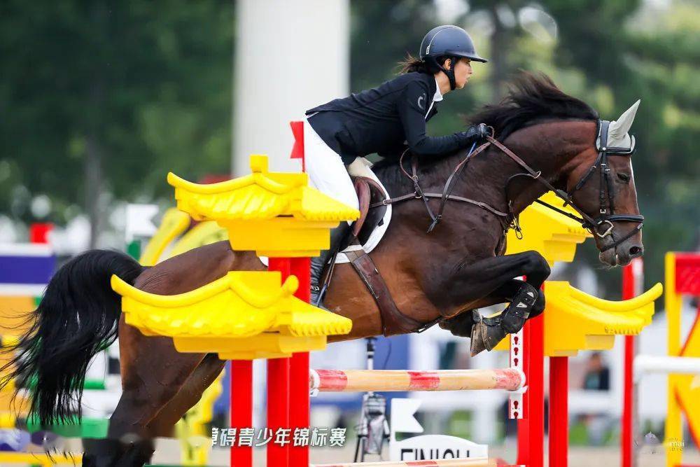 乌拉圭运动员在马术比赛中表现出色