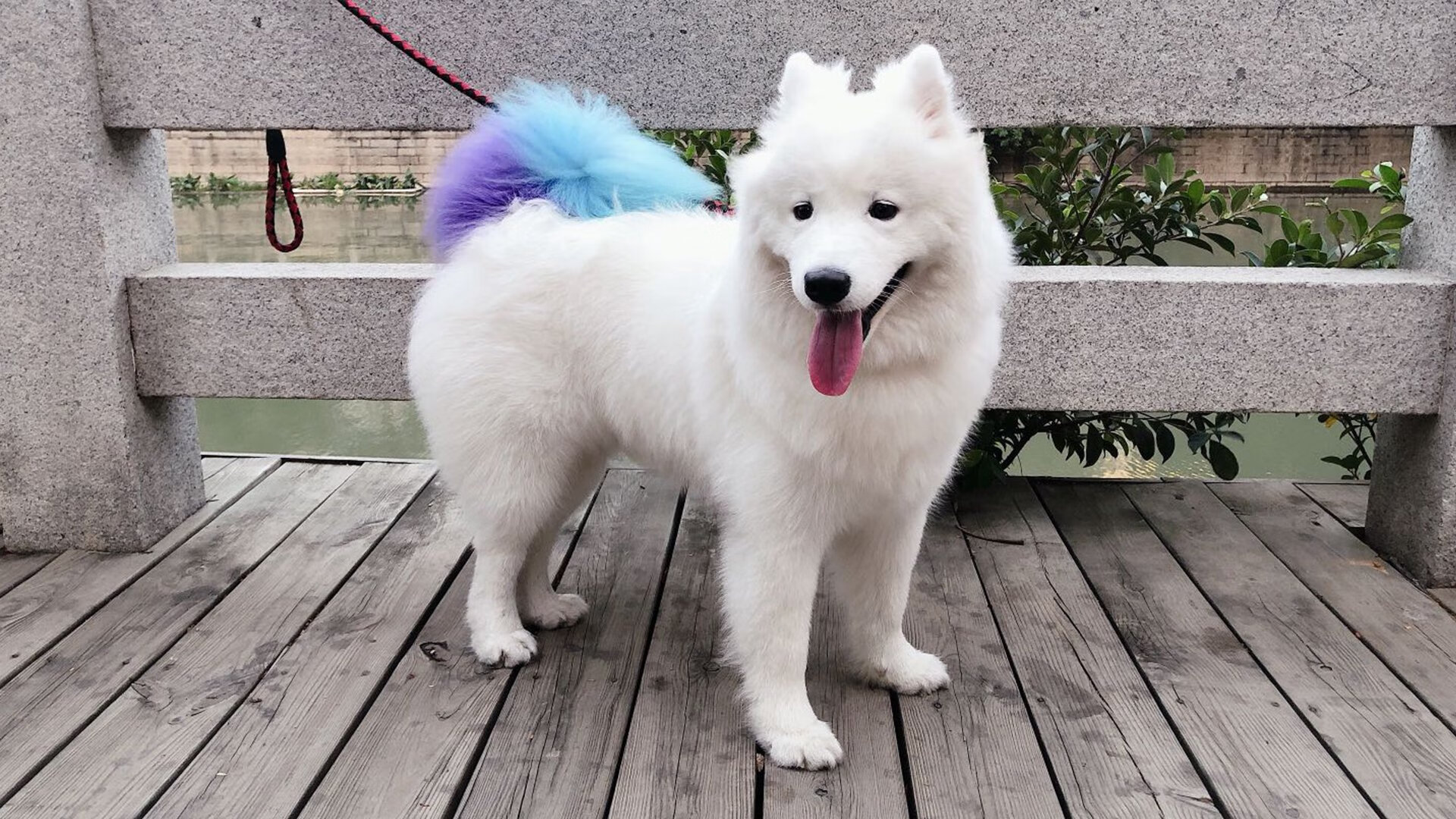 开云体育下载-钢铁洪流与王者锋芒，辽宁火力全开压制猛龙，詹姆斯诠释全能统治力