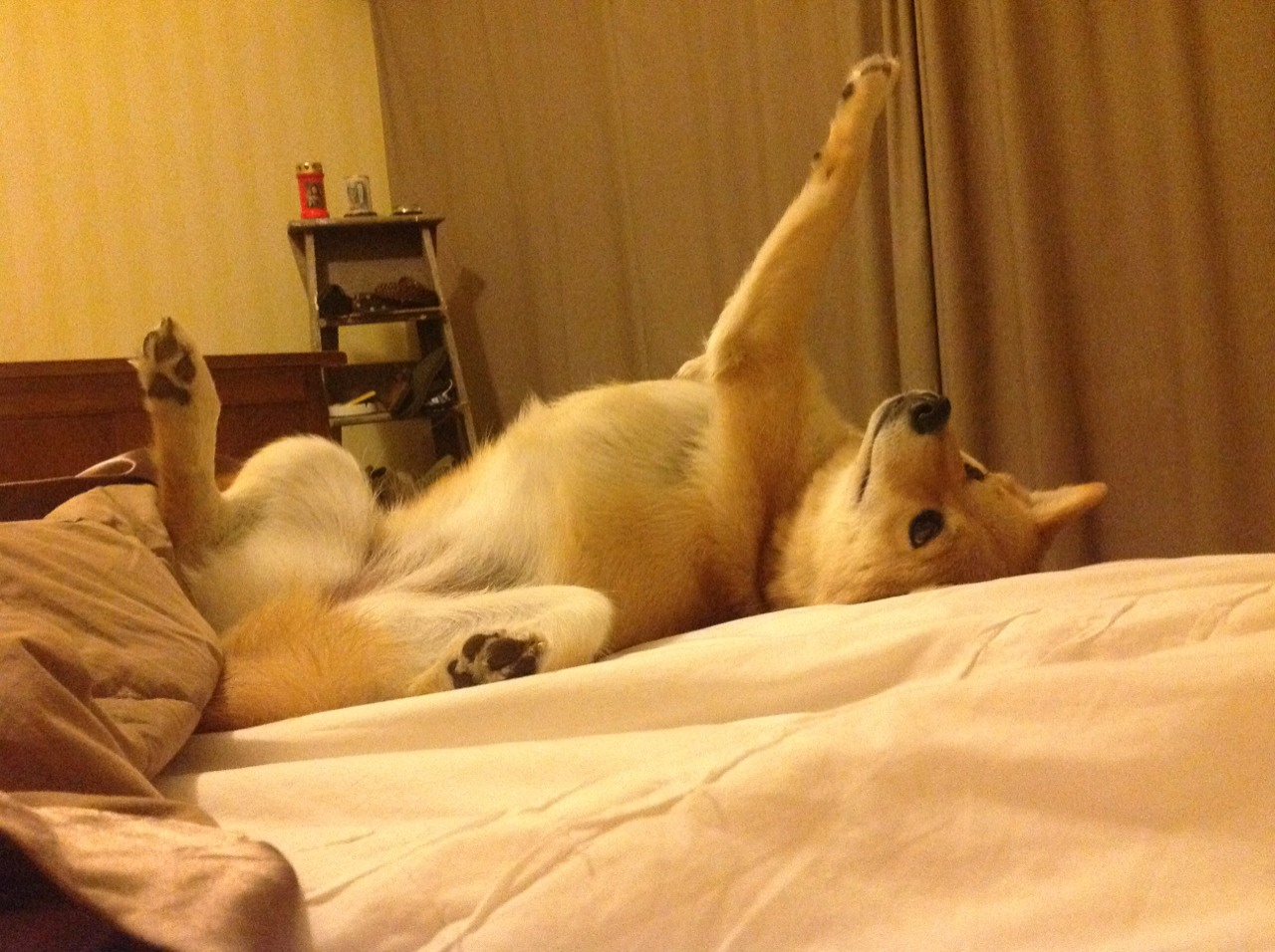 德国战车碾过佛罗伦萨，莫德里奇英超争冠接管比赛—足球世界的双重奏鸣