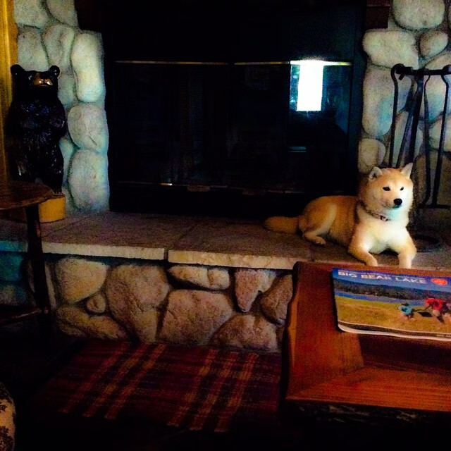 开云体育入口-绿金战吼震沙漠，厄瓜多尔压制摩洛哥，萨卡成逆转关键先生