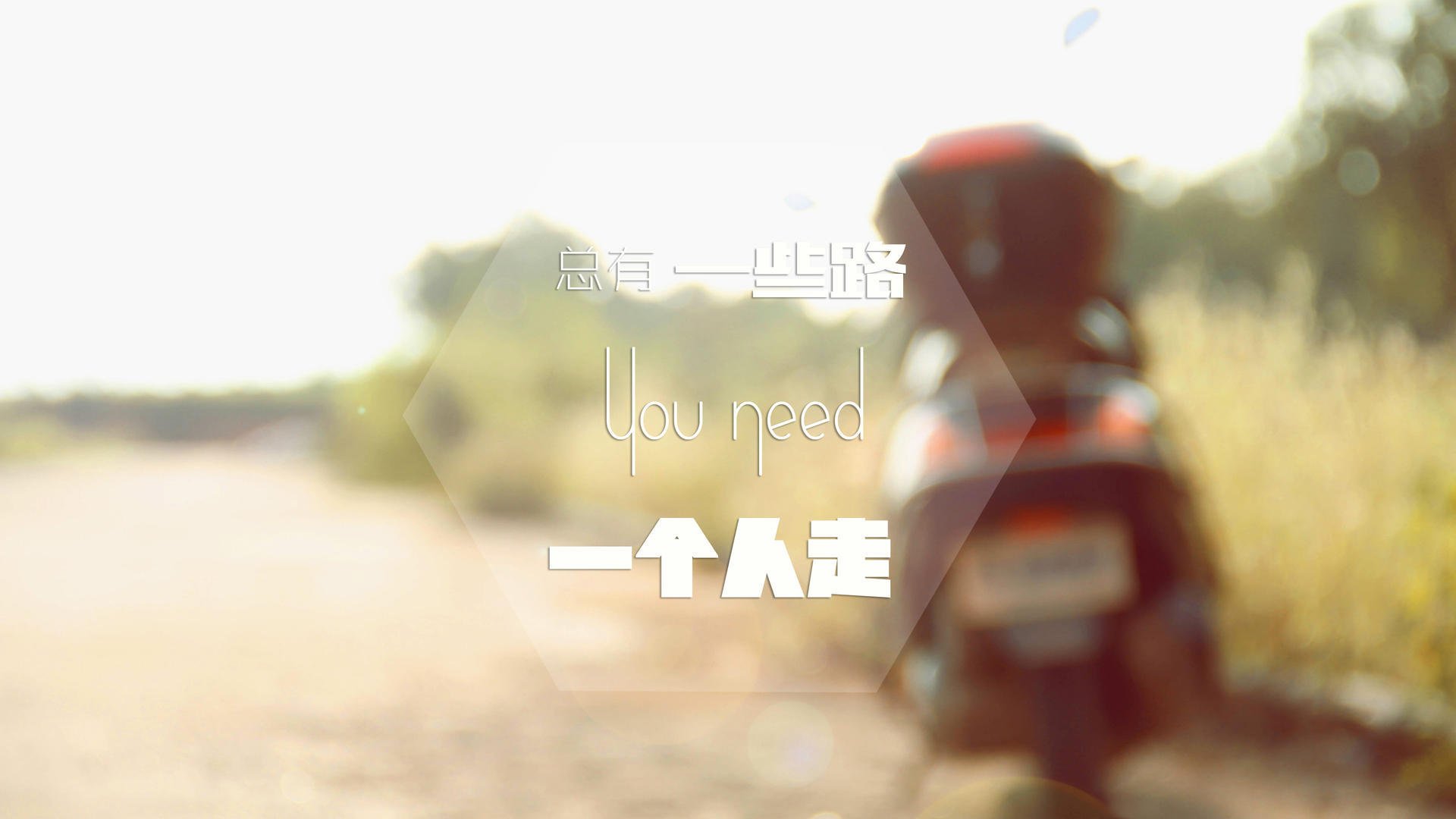 伊朗收割摩纳哥,帕尔默里程碑之夜,足球世界的力量与技艺交响