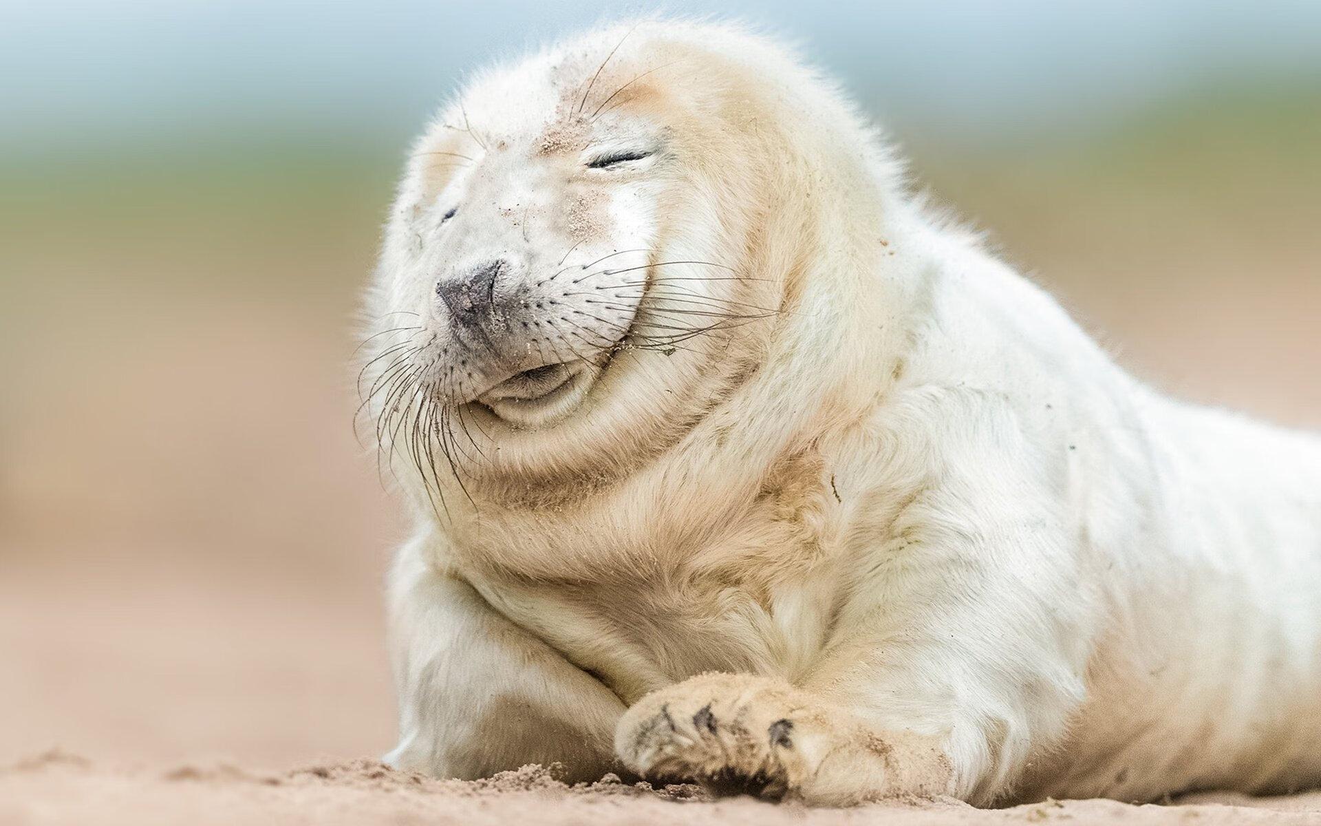 杜兰特末节统治攻防,芝加哥公牛险胜深圳晋级