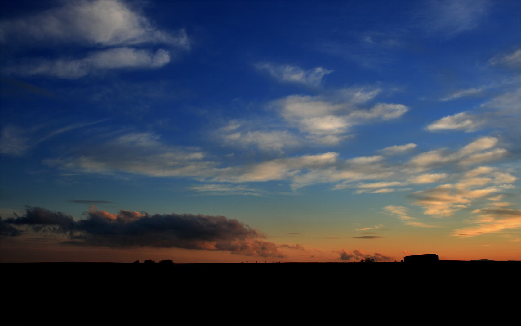 开云APP-奇迹时刻，荷兰绝杀秘鲁与奥斯梅恩欧冠封神