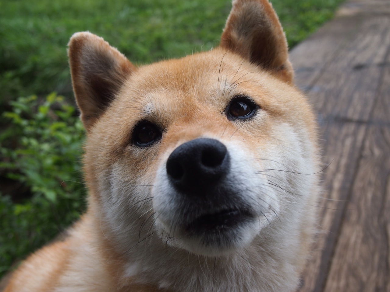 浓眉全程高能输出!深圳队激战骑士,篮球盛宴引爆全场