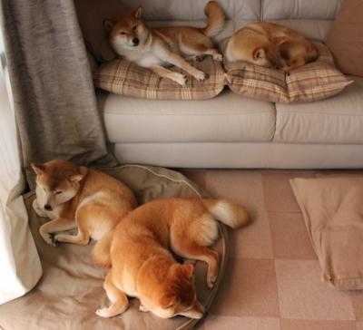 一剑封喉！孔德终场绝杀 国米2-1逆转马赛 蓝黑军团展现冠军底蕴