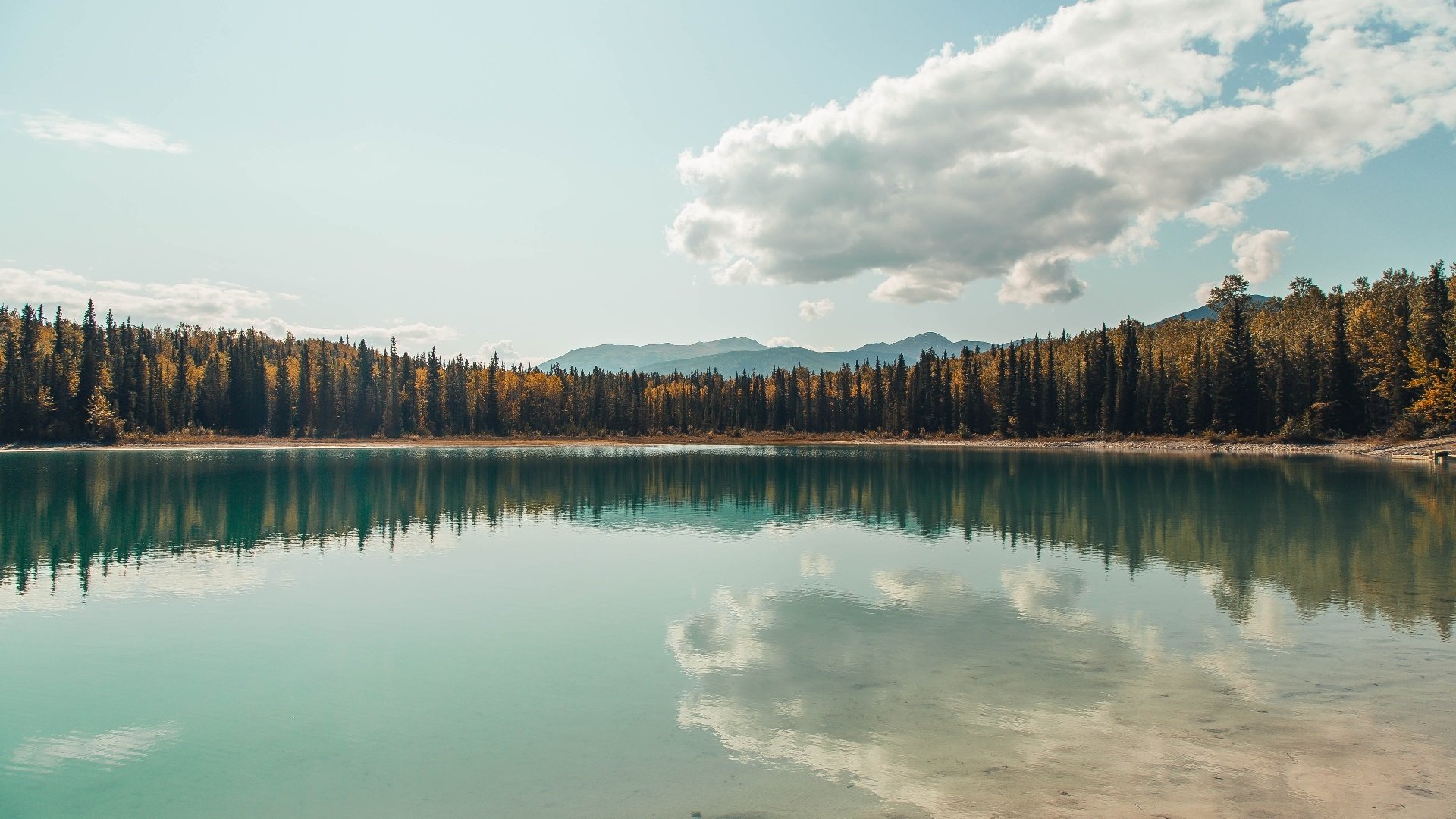 牙买加风暴席卷摩纳哥,F1街道赛焦点战正面击溃多特蒙德霸权