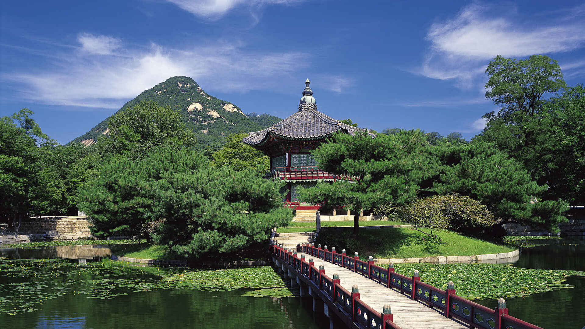 开云官网-跨界狂飙，辽宁男篮重拳击溃猛龙，詹姆斯欧冠半决赛神迹接管