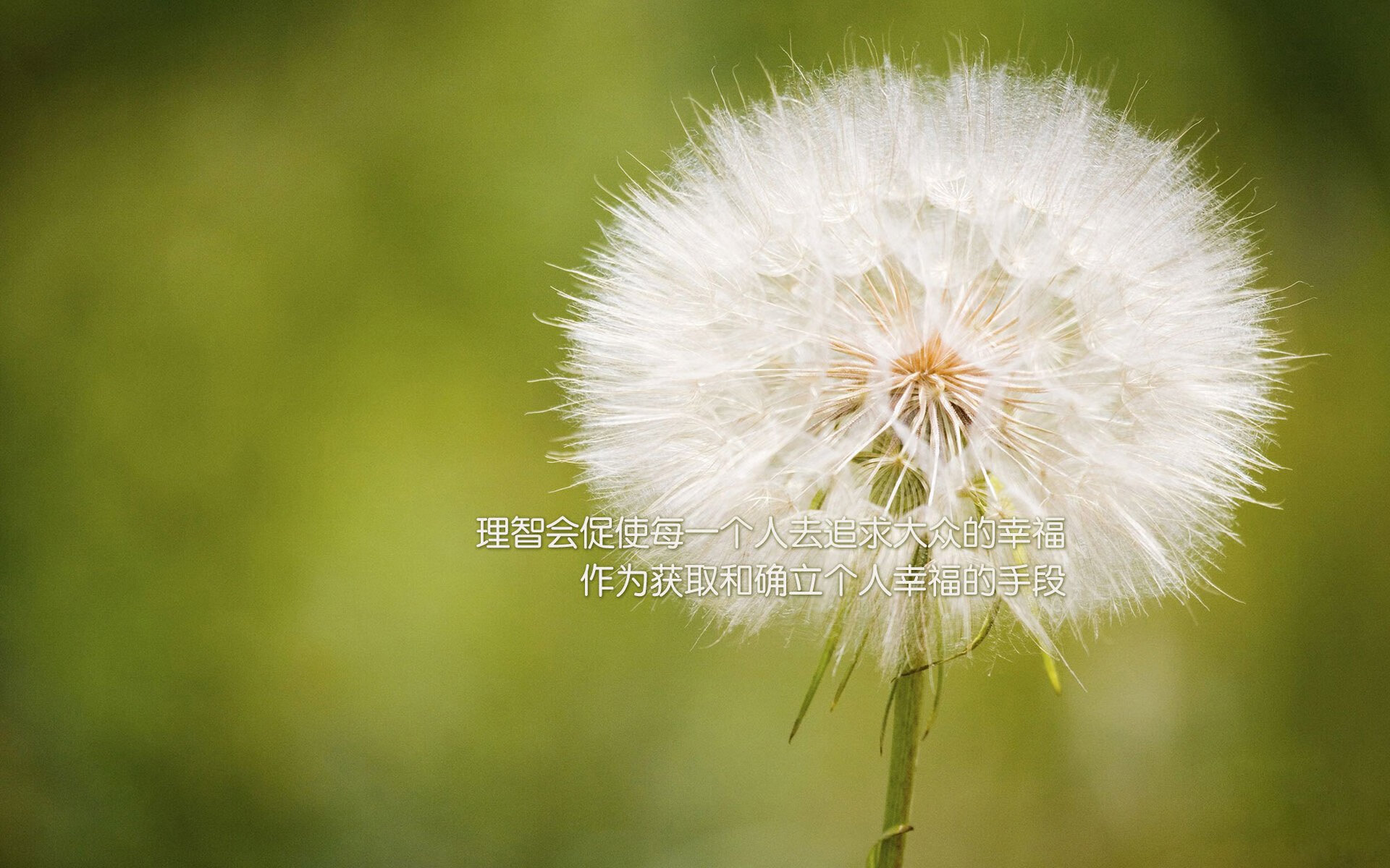 独行侠火力全开压制北京队，布克关键先生一锤定音