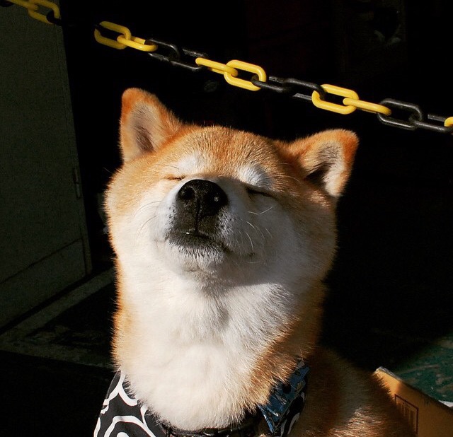 开云平台-格纳布里独造三球导演逆转！加拿大3-1厄瓜多尔创历史