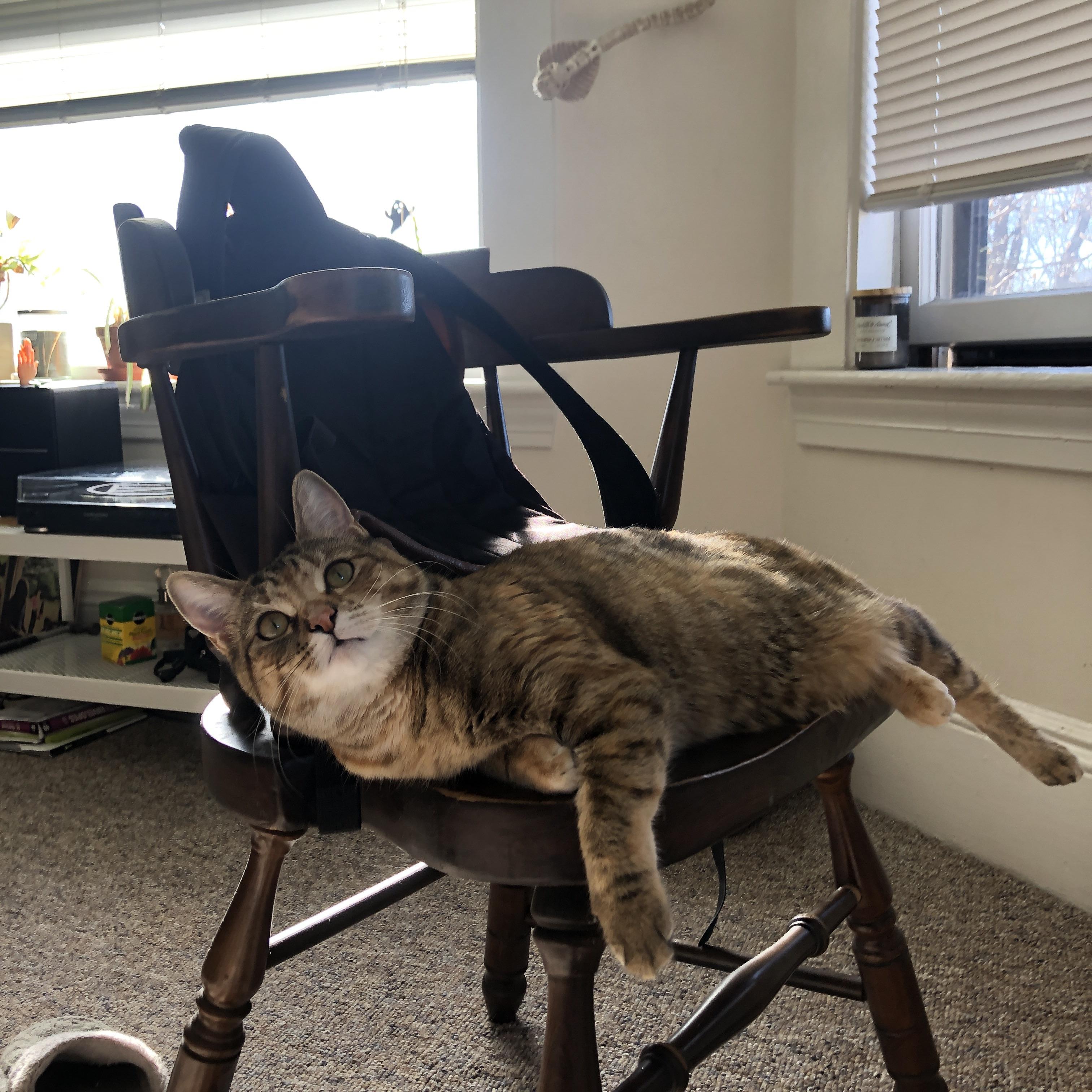 卡马文加闪电制胜！乌拉圭力克威尔士晋级决赛