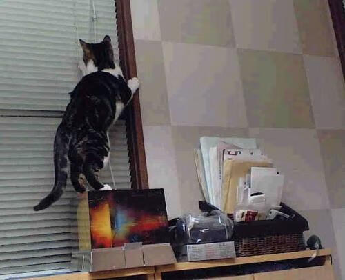 悬溺者与摆渡人，利拉德击碎心魔的速胜之夜