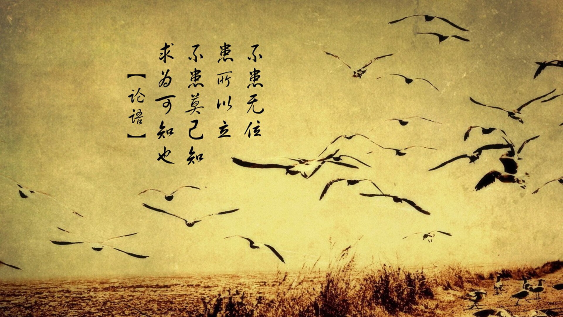 恩佐一剑定乾坤，阿根廷险胜，瑞士技压玻利维亚